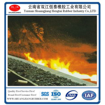 Whole Core Flame Retardant Conveyor Belt